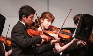 Why You Should Consider Taking Home Violin Lessons