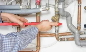 How the Right Plumber Services Can Save You Money