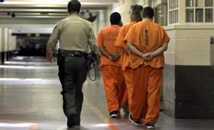 Orange County Inmate Lookup: Find Inmate Information Now