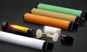 Flavorful Escape: Exploring Disposable Vape Pen Flavors