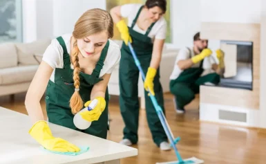 Elite Shine House Cleaning: Where Cleanliness Meets Excellence